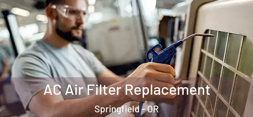 AC Air Filter Replacement Springfield - OR