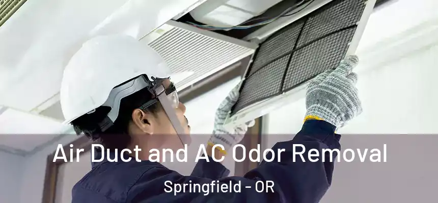  Air Duct and AC Odor Removal Springfield - OR