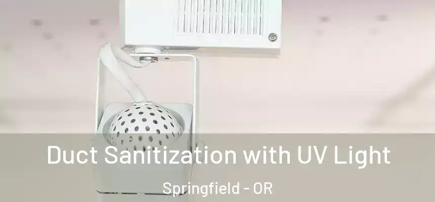  Duct Sanitization with UV Light Springfield - OR