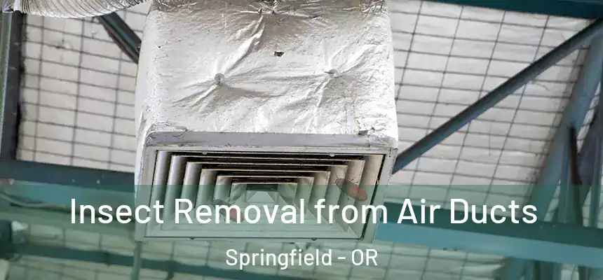  Insect Removal from Air Ducts Springfield - OR