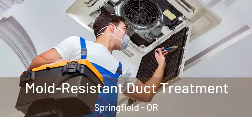  Mold-Resistant Duct Treatment Springfield - OR