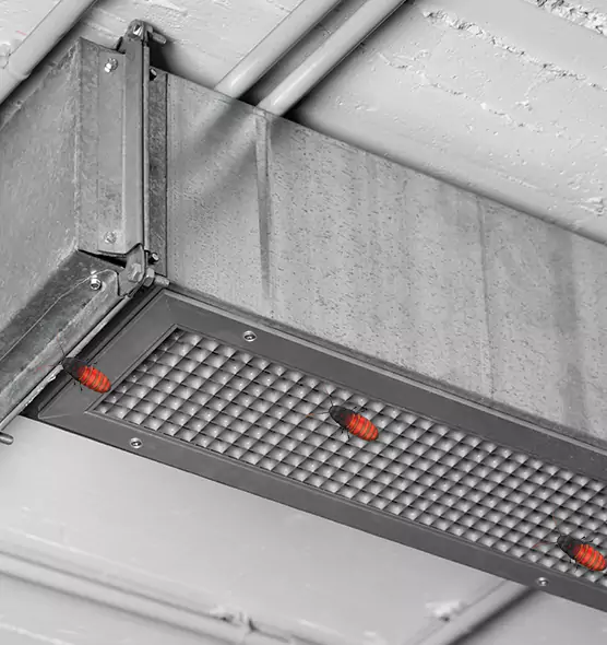About Air Duct Cockroach Removal in Springfield, OR