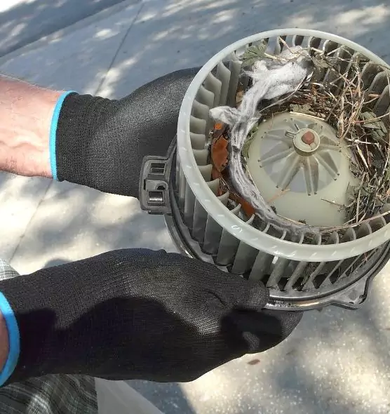 About Air Duct Rat Removal in Springfield, OR