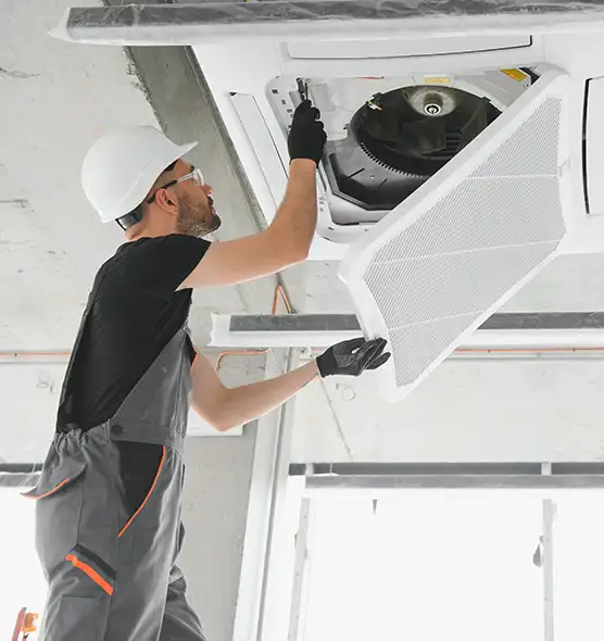 About Air Duct Rodent Removal in Springfield, OR