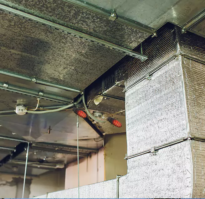 Why Homeowners & Businesses Trust Us in Springfield, OR?