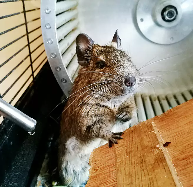 Why Homeowners & Businesses Trust Us Springfield, OR