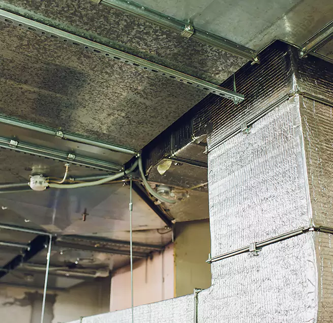 Why Homeowners & Businesses Trust Us in Springfield, OR?